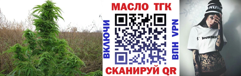 omg ссылки  Нижняя Тура  Дистиллят ТГК Wax 