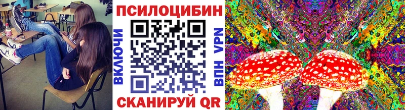 Псилоцибиновые грибы Psilocybine cubensis  Нижняя Тура 