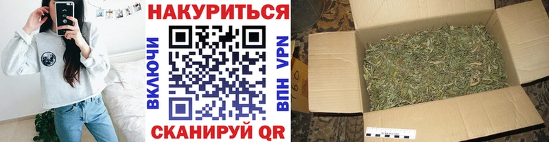 мориарти как зайти  Нижняя Тура  Марихуана OG Kush  закладка 